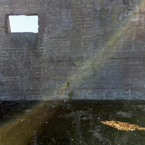 In search of the miraculous